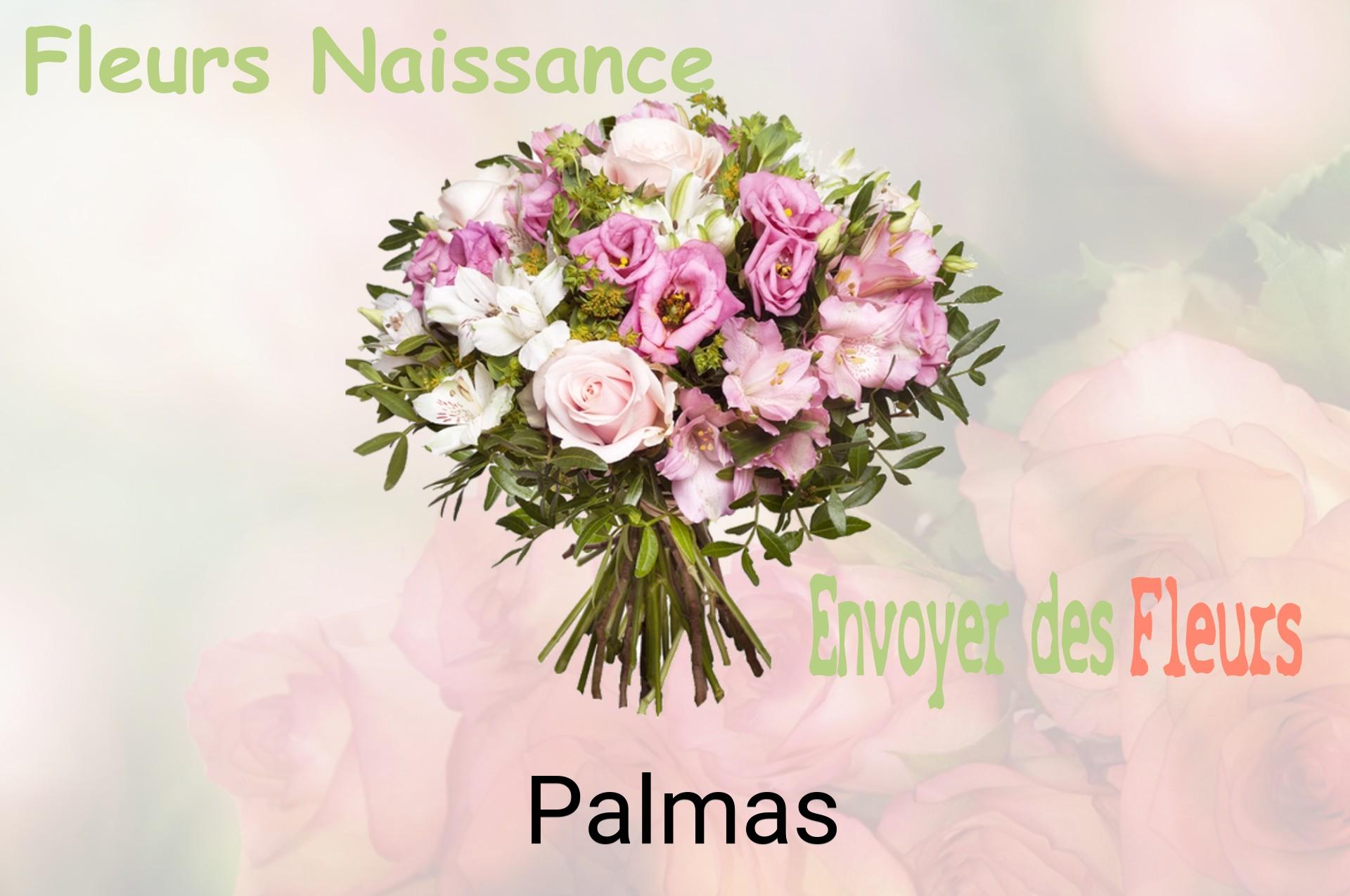 Bouquet de fleurs de naissance livré à Palmas