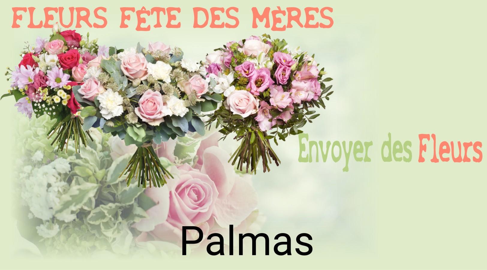 Bouquet de Fête des Mères livré à Palmas